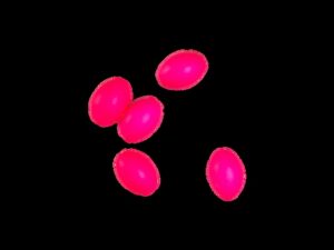 Trident Football Pink Floats