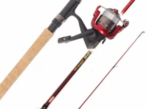 Berkeley Cherrywood HD Combo