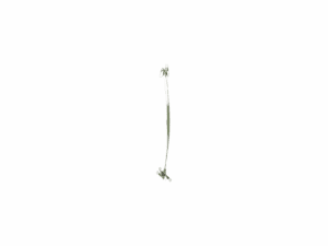 Fish Mate Centro Nylon Coated Wire Leaders