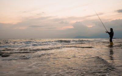 Freshwater vs Saltwater Fishing — What Every South African Angler Should Know
