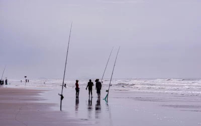 Best Reels and Rods for Rock and Saltwater Fishing