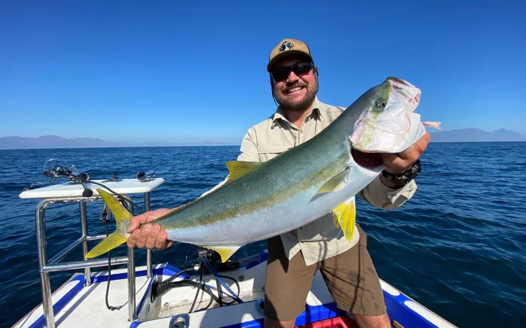 A FG Tackle Guide to Fishing for Yellowtail